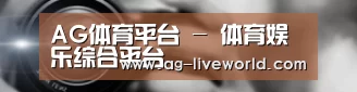 公司动态