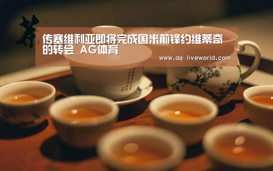 传塞维利亚即将完成国米前锋约维蒂奇的转会_AG体育(图1) AG篮球