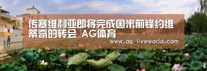 传塞维利亚即将完成国米前锋约维蒂奇的转会_AG体育(图2) AG赛事